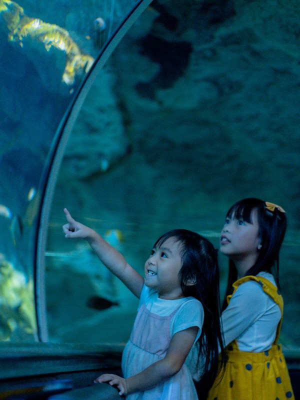 Aquarium5